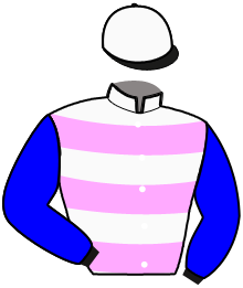 Casaque n°13