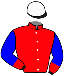 Casaque n°14