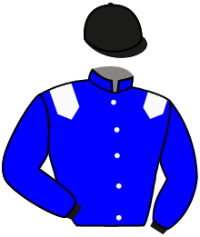 Casaque n°11