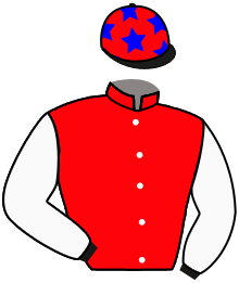 Casaque n°8