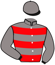 Casaque n°13