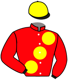 Casaque n°6