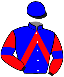 Casaque n°11
