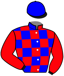Casaque n°10