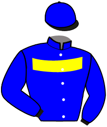 Casaque n°11