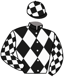 Casaque n°11
