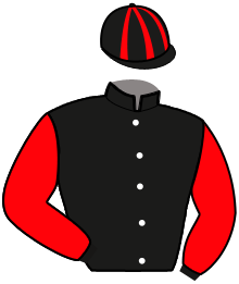 Casaque n°3