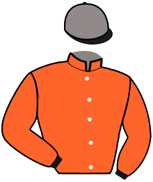 Casaque n°10