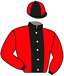 Casaque n°11