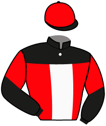 Casaque n°16