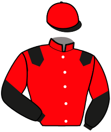 Casaque n°13