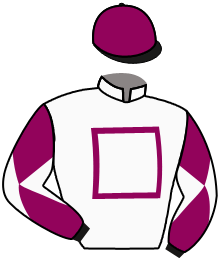 Casaque n°1