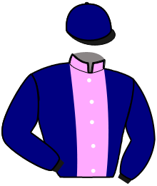 Casaque n°15