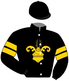 Casaque n°1