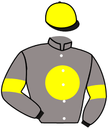 Casaque n°3