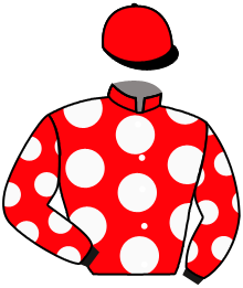 Casaque n°3