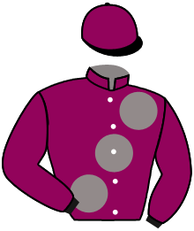 Casaque n°2