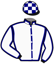 Casaque n°12