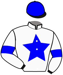 Casaque n°13