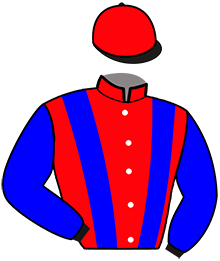 Casaque n°11