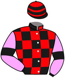 Casaque n°8
