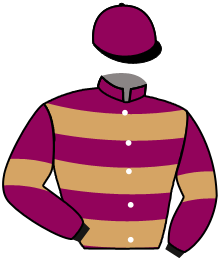 Casaque n°3