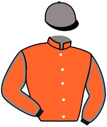 Casaque n°4
