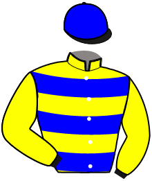 Casaque n°4