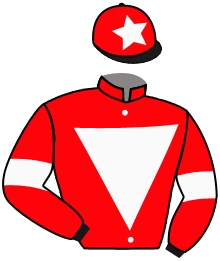 Casaque n°11