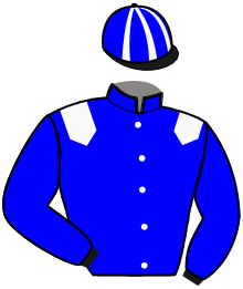 Casaque n°10
