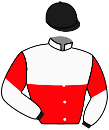 Casaque n°10