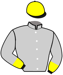 Casaque n°10