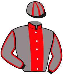 Casaque n°3