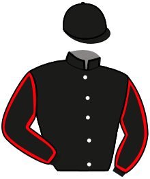 Casaque n°2