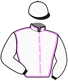 Casaque n°8