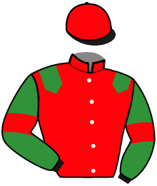 Casaque n°8