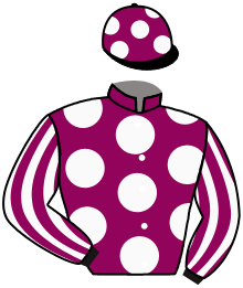 Casaque n°1