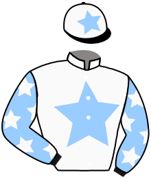 Casaque n°2