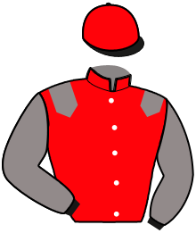 Casaque n°2