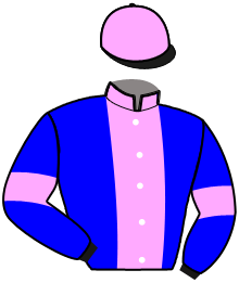 Casaque n°10
