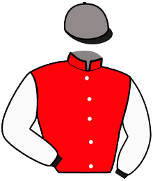 Casaque n°14