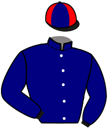 Casaque n°15