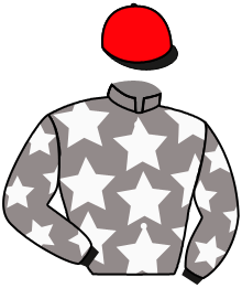 Casaque n°11