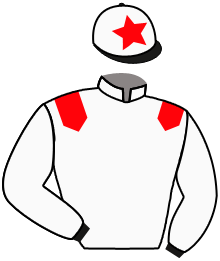 Casaque n°4