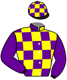 Casaque n°8