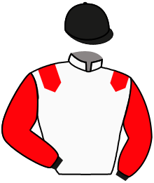 Casaque n°1