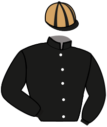 Casaque n°12