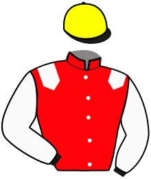 Casaque n°5