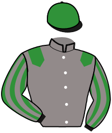 Casaque n°16