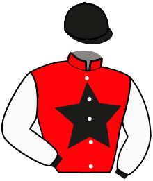 Casaque n°8
